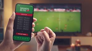 Descubre Bewinner La Plataforma de Apuestas que Revoluciona el Juego en Línea